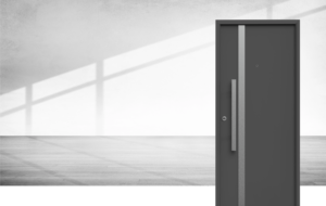 Puerta Exterior Antibarreta | 22 Acero