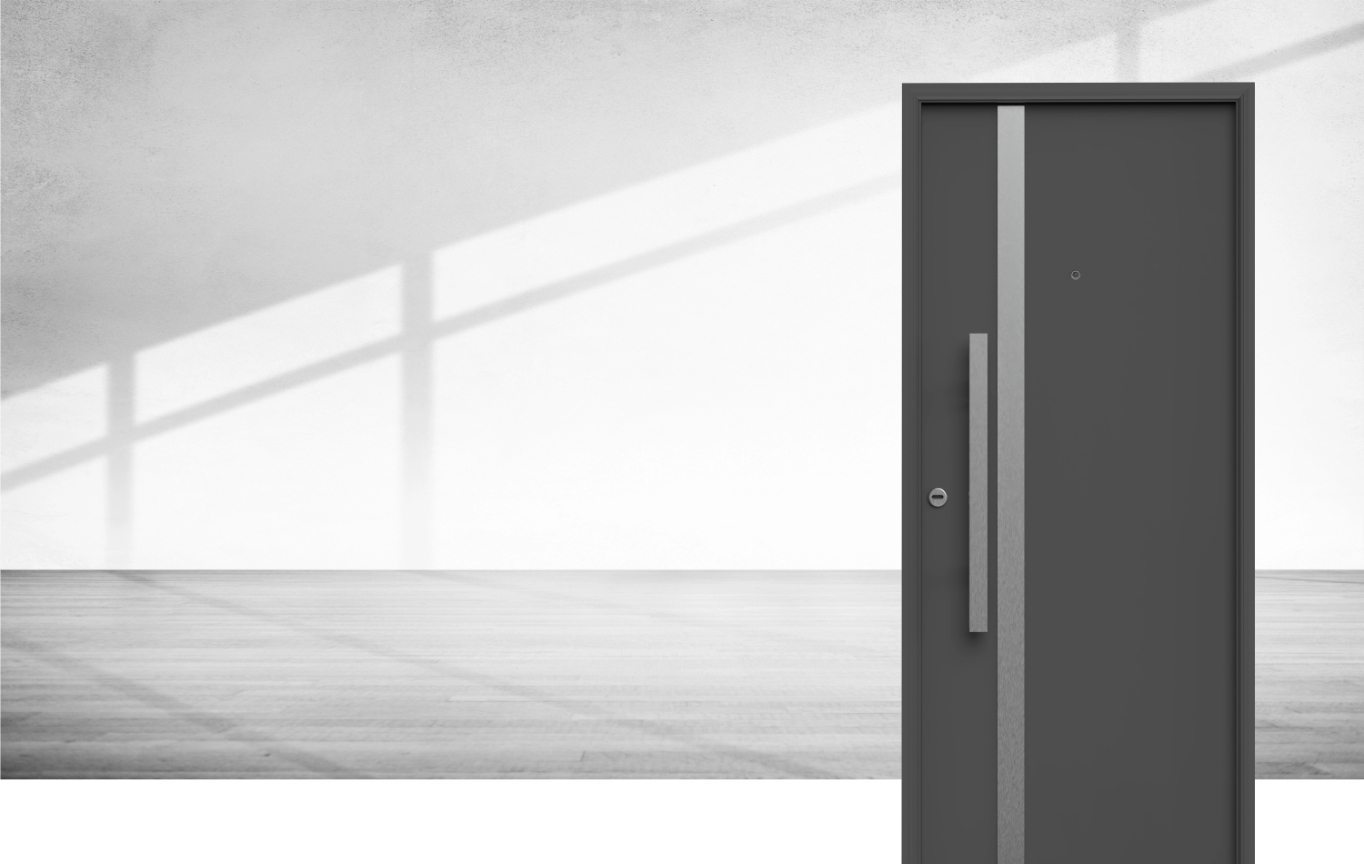 Puerta Exterior Antibarreta | 22 Acero