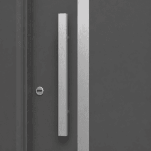 Puerta Exterior Antibarreta | 22 Acero - Imagen 4