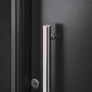 Puerta Exterior Antibarreta | 49 Lisa con barral - Imagen 5