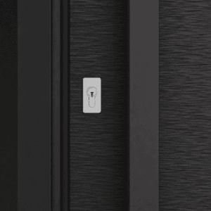 Puerta Exterior Antibarreta | 49 Lisa Texturada - Imagen 5