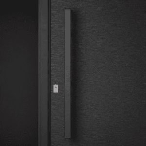 Puerta Exterior Antibarreta | 49 Lisa Texturada - Imagen 6
