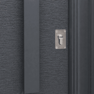 Puerta Exterior Antibarreta | 49 Lisa Texturada con lineas decorativas - Imagen 5