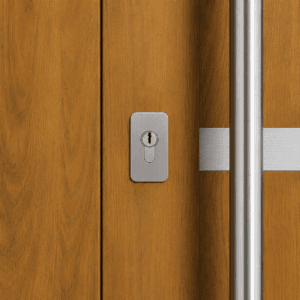 Puerta Exterior Antibarreta |50 Verona Roble Ciega - Imagen 6