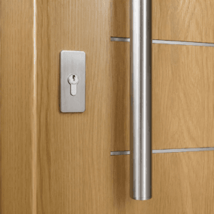Puerta Exterior Antibarreta | 56 Imperia Fresno - Imagen 4