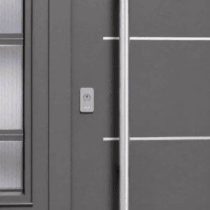 Puerta Exterior Antibarreta | 56 Imperia Postigo de Abrir - Imagen 6