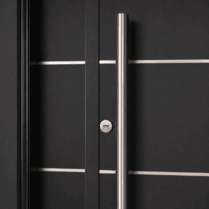 Puerta Exterior Antibarreta | 71 Futura Ciega - Imagen 7
