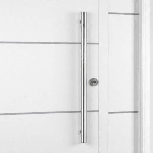Puerta Exterior Antibarreta | 71 Futura Ciega - Imagen 7