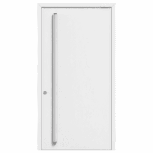Puerta Exterior | Ciega - Imagen 5