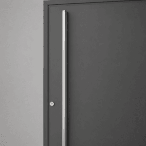 Puerta Exterior | Ciega - Imagen 4